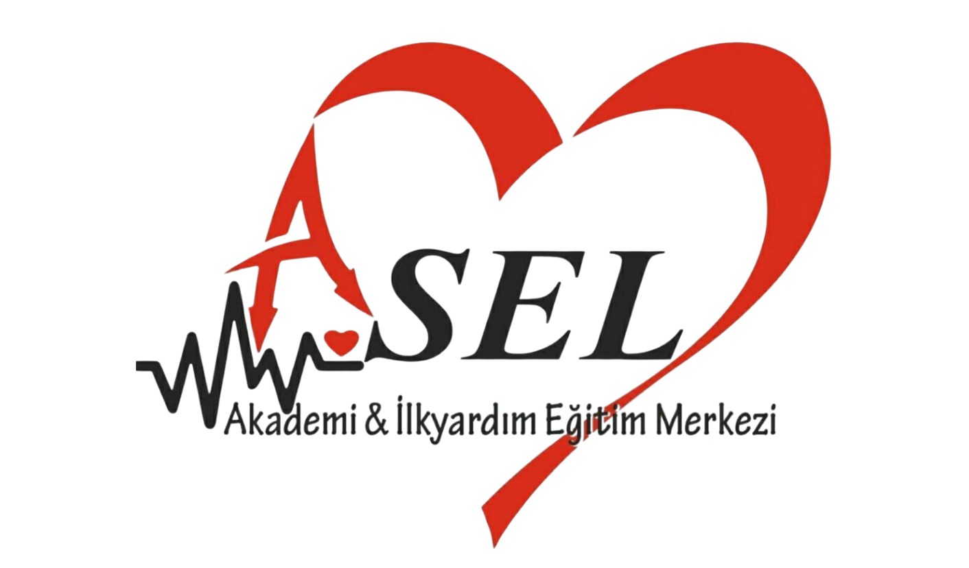 Asel Akademi Logo